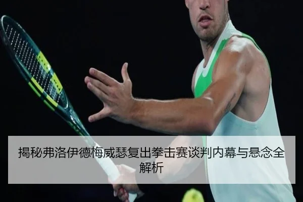 揭秘弗洛伊德梅威瑟复出拳击赛谈判内幕与悬念全解析（IM SPORTS）